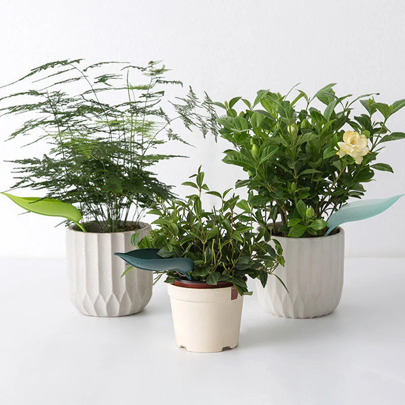 Miniatuur 10