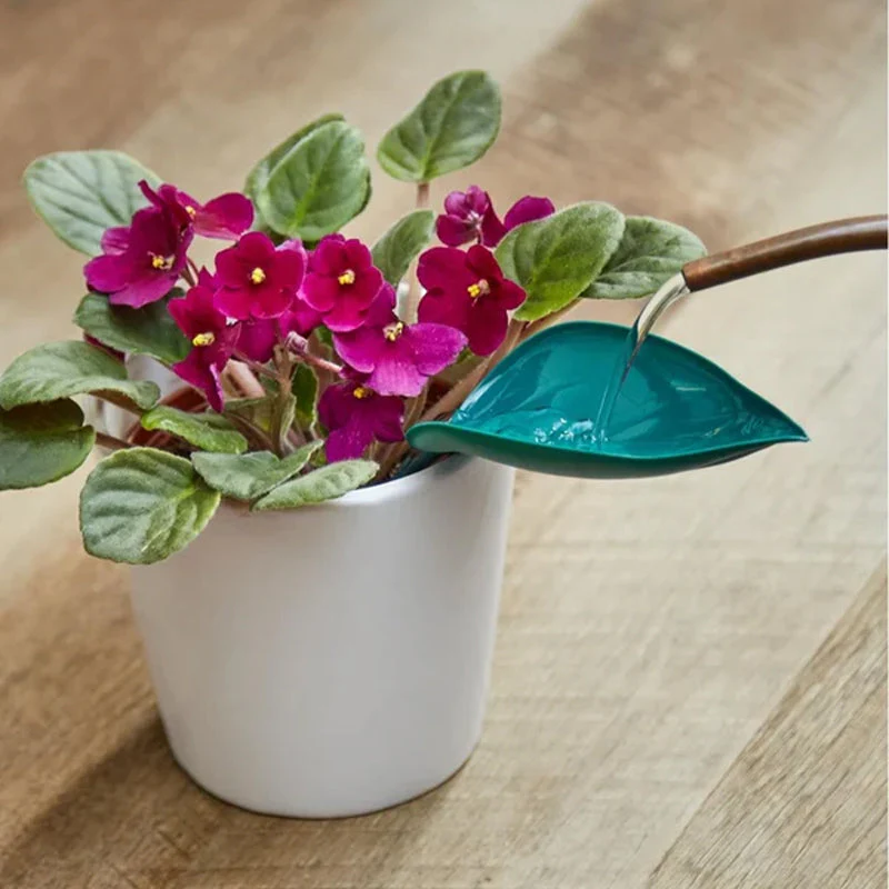 Miniatuur 4