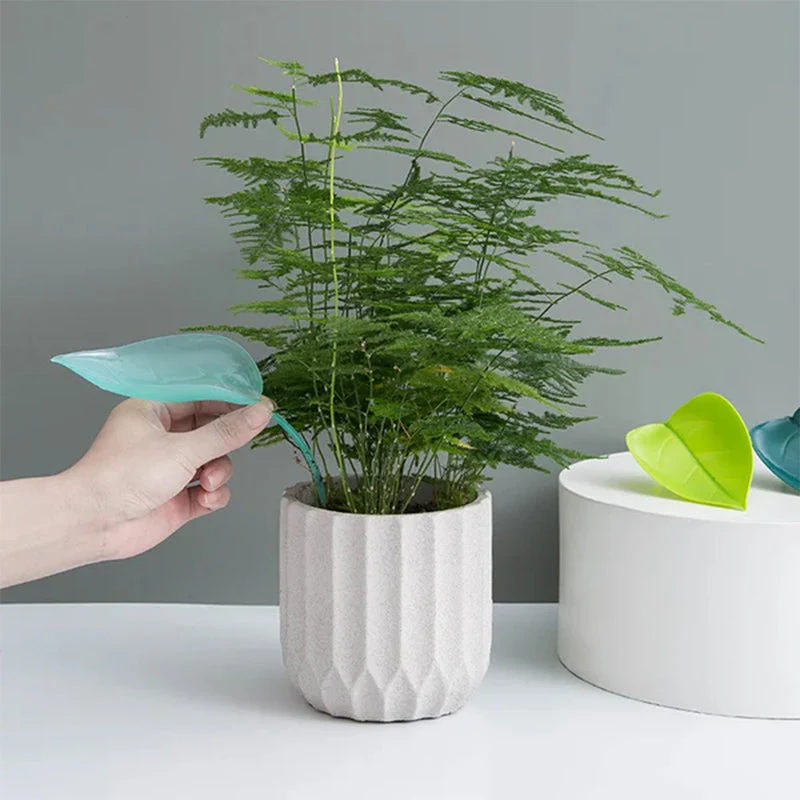 Miniatuur 7