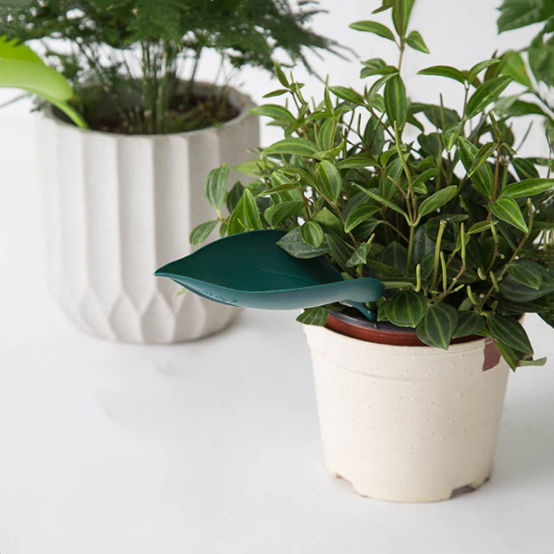 Miniatuur 8