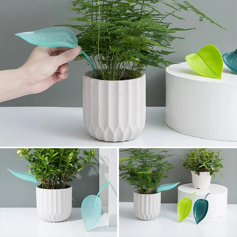 Miniatuur 9