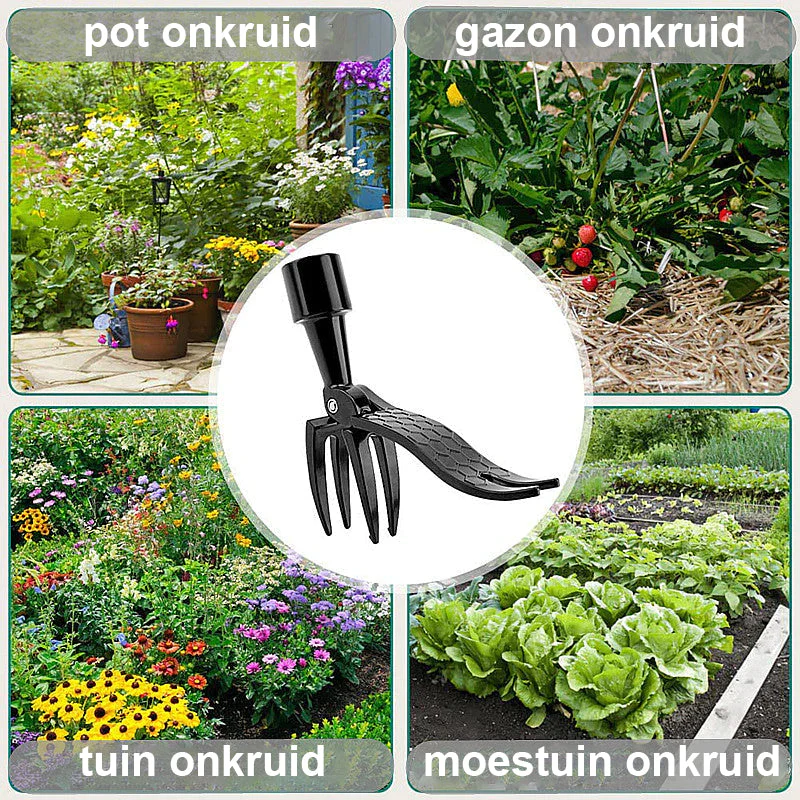 Miniatuur 2