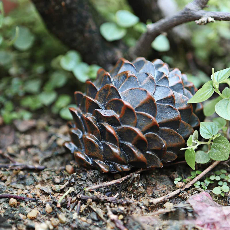 Miniatuur 5