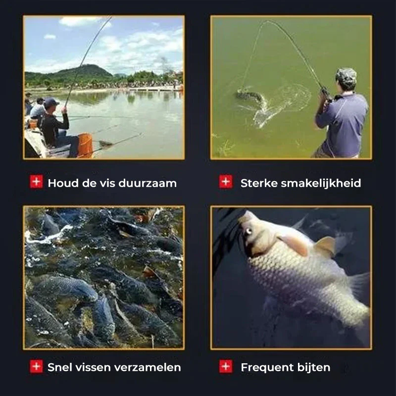 Miniatuur 10