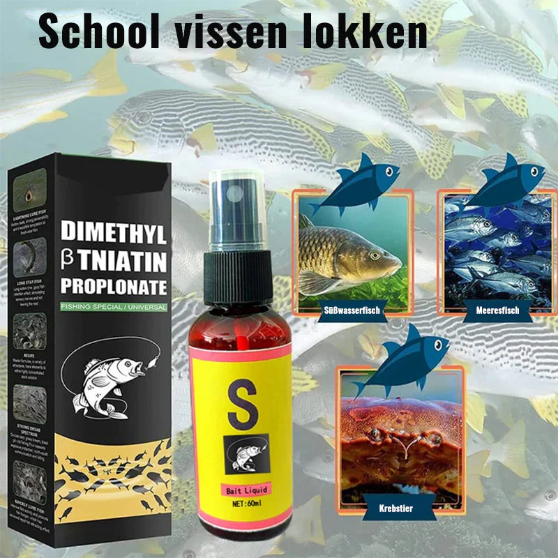 Miniatuur 9