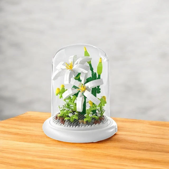 Miniatuur 1
