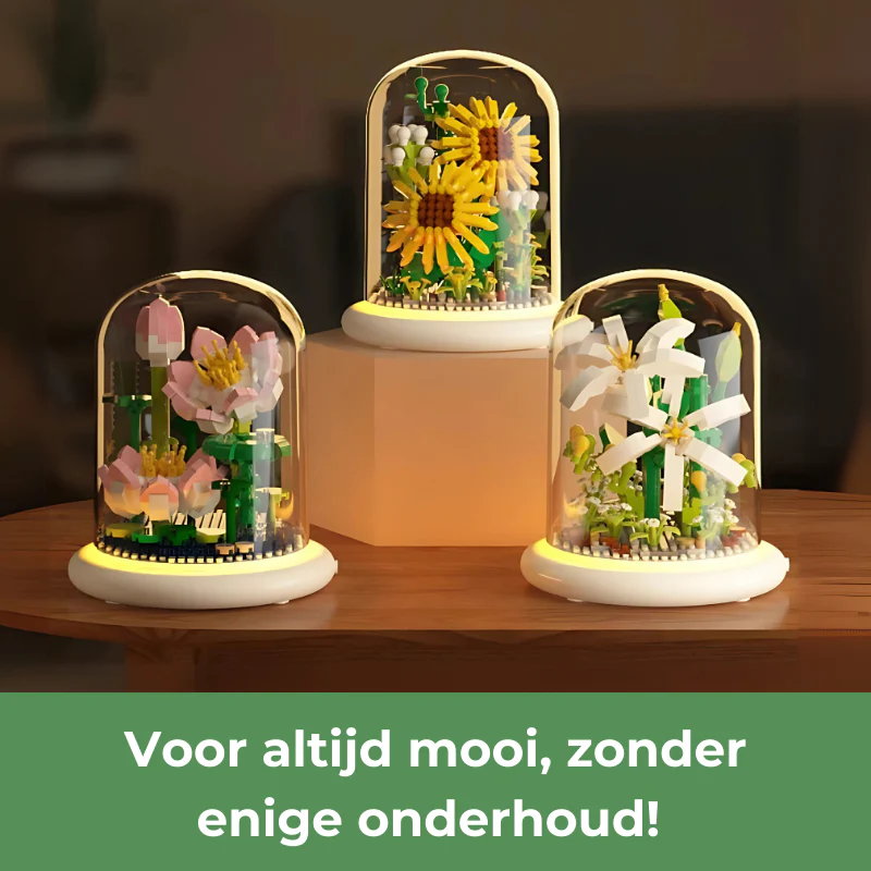 Miniatuur 3