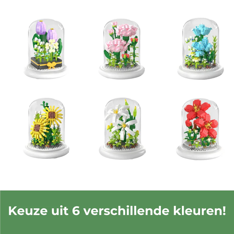 Miniatuur 5