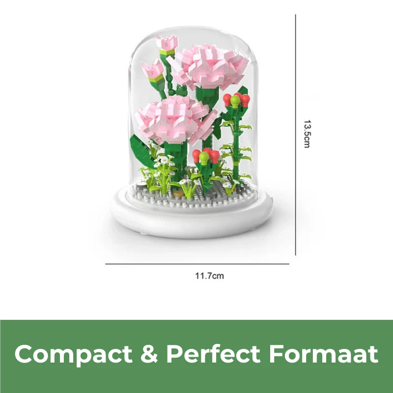 Miniatuur 6