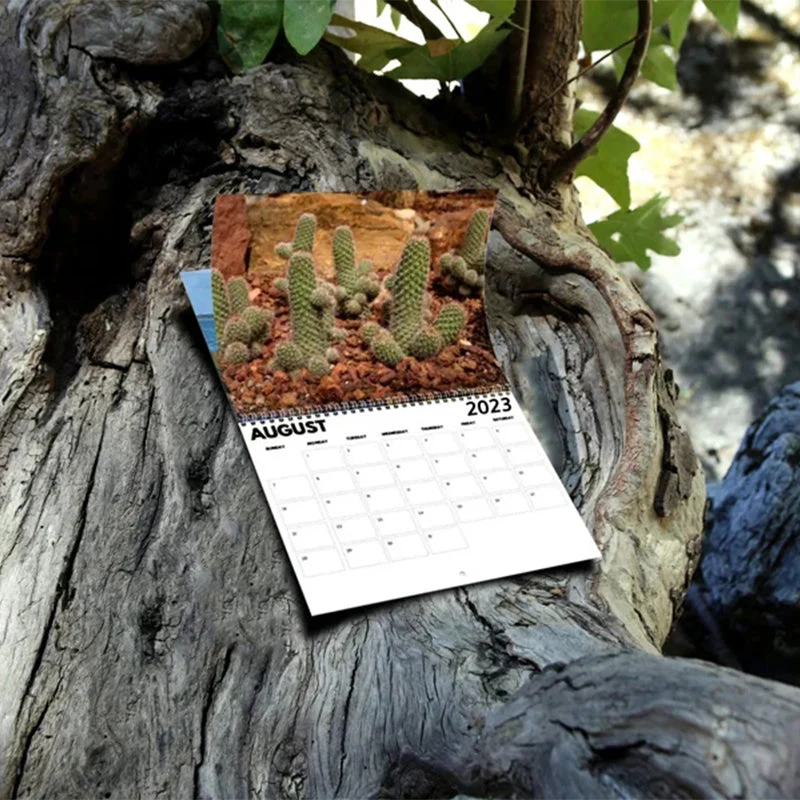 Miniatuur 4