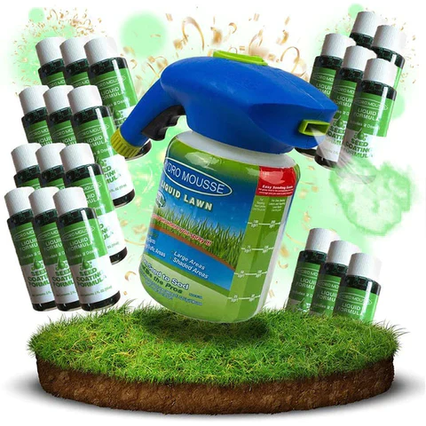 Miniatuur 6