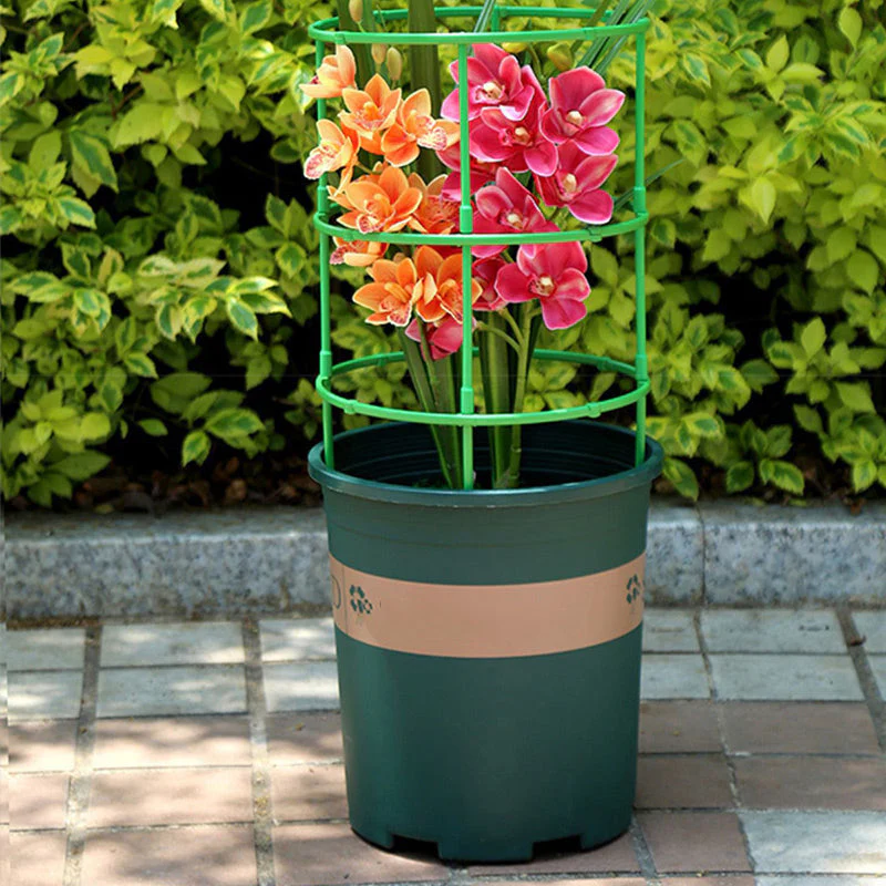 Miniatuur 2