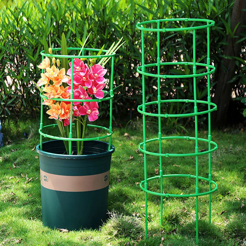 Miniatuur 4
