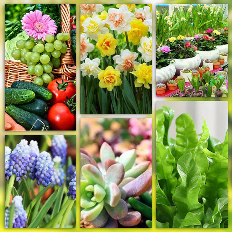 Miniatuur 9