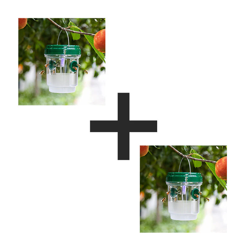 Miniatuur 15