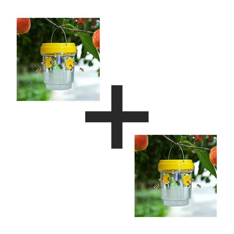 Miniatuur 16