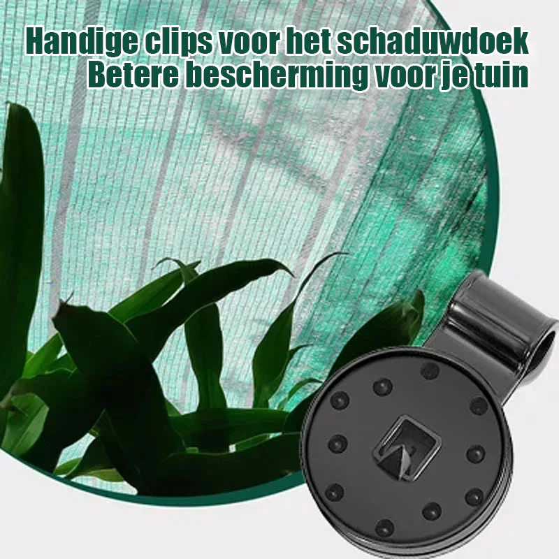 Miniatuur 6