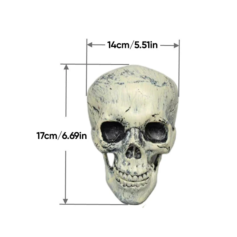 Miniatuur 13
