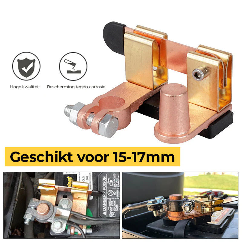 Miniatuur 6