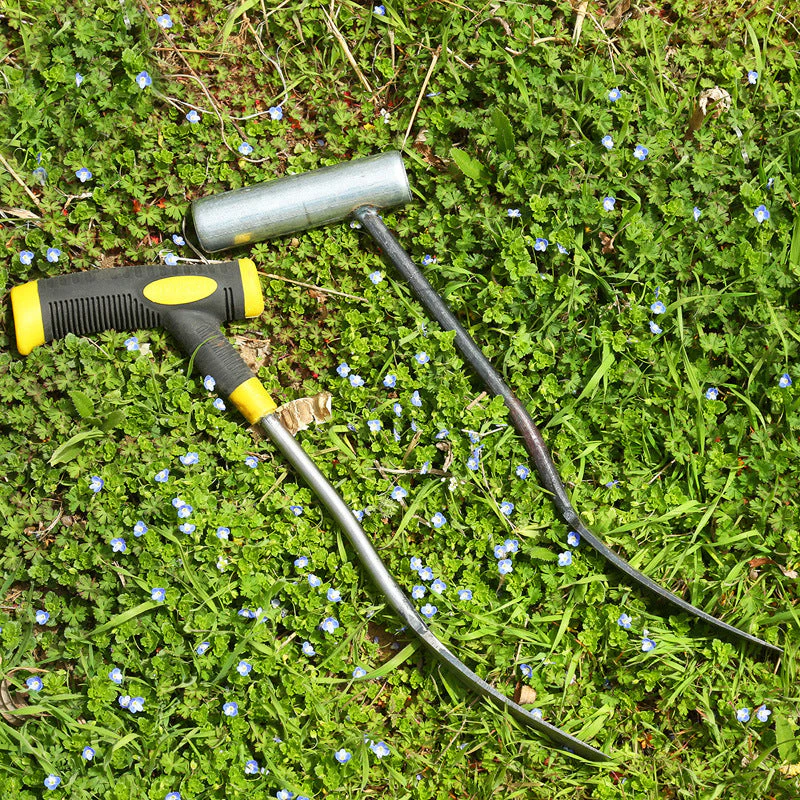 Miniatuur 6