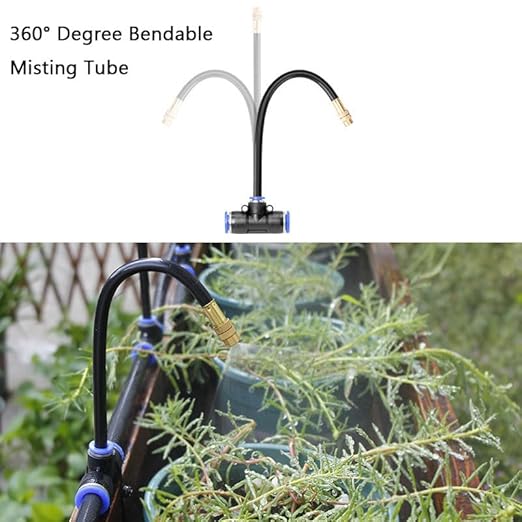 Miniatuur 9