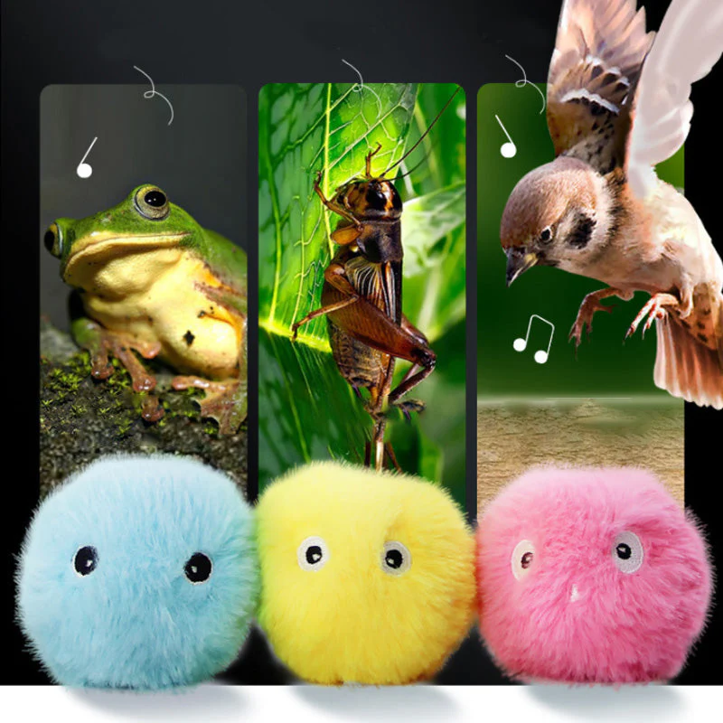 Miniatuur 10