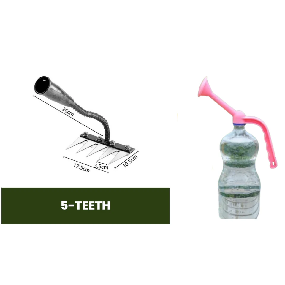 Miniatuur 15