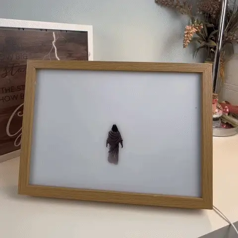 Miniatuur 2