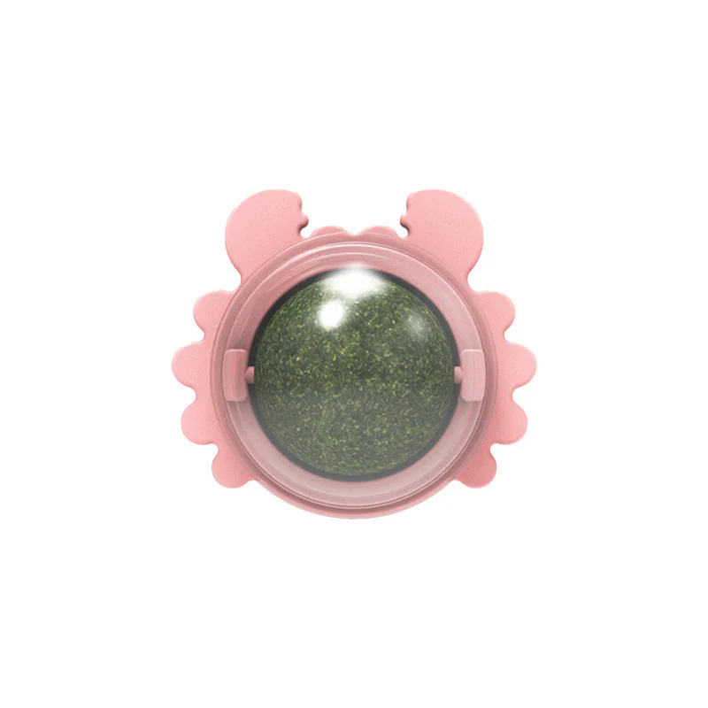 Miniatuur 11