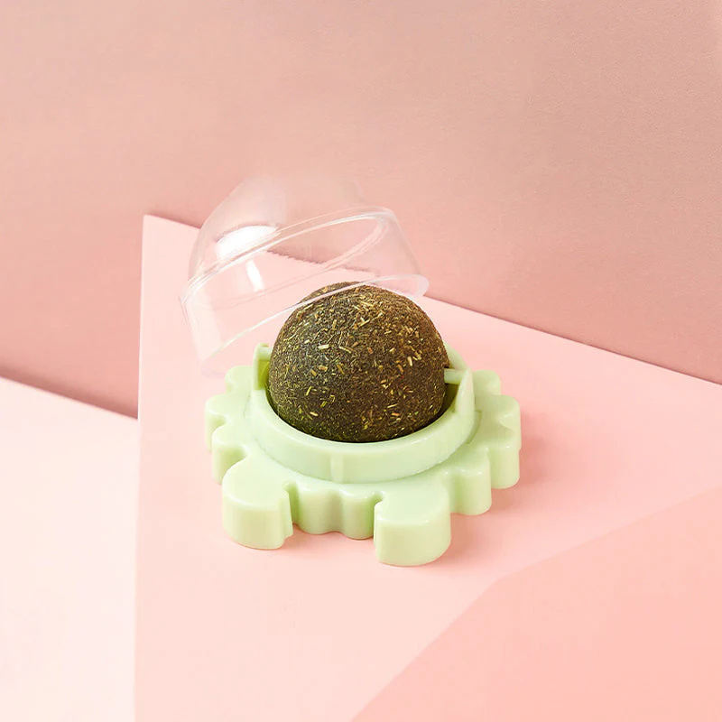 Miniatuur 4
