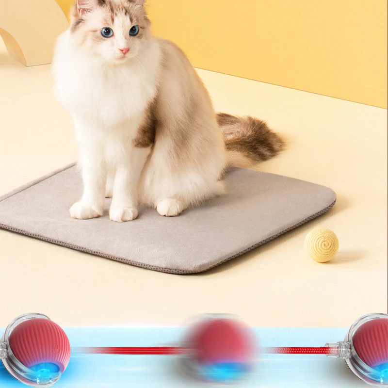 Miniatuur 9
