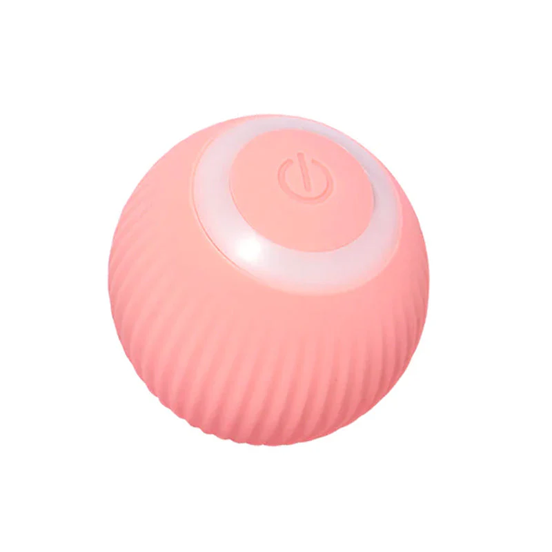 Miniatuur 15
