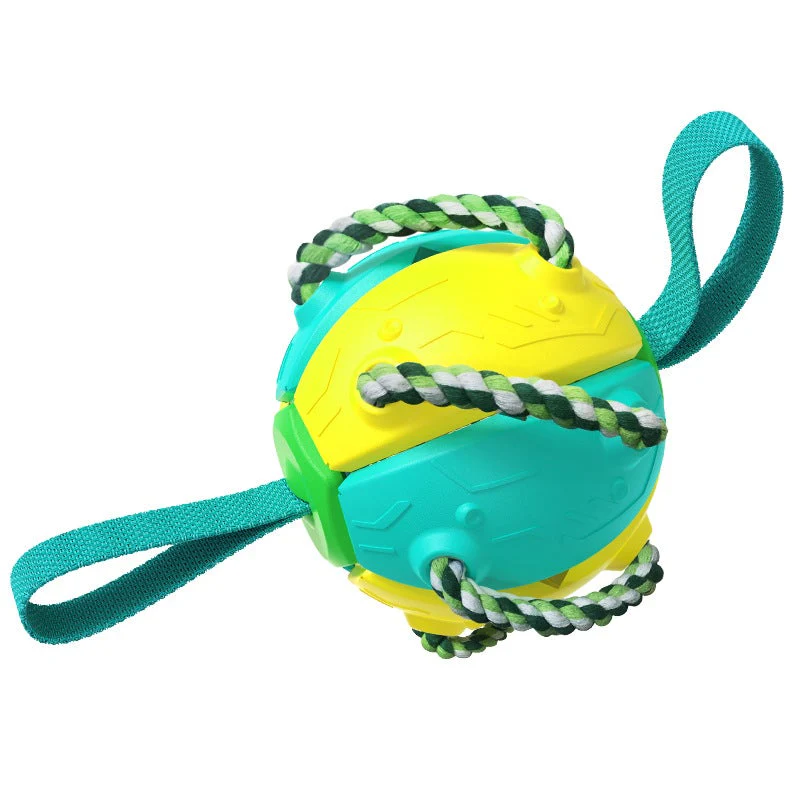 Miniatuur 10