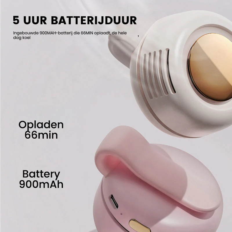 Miniatuur 6