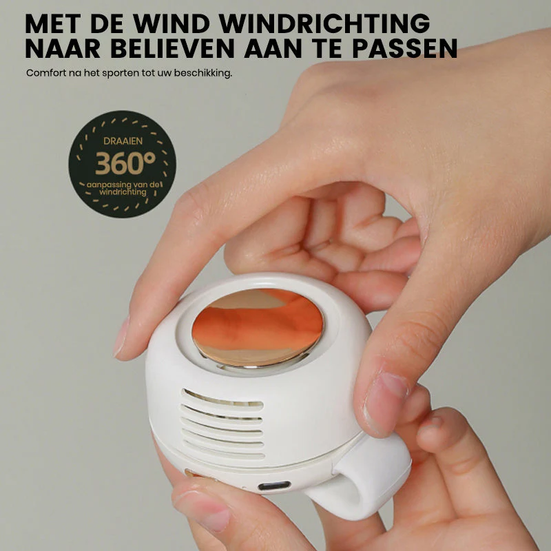 Miniatuur 7