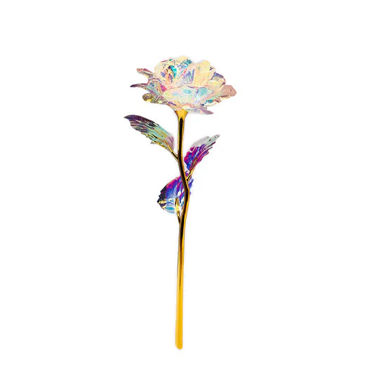Miniatuur 19