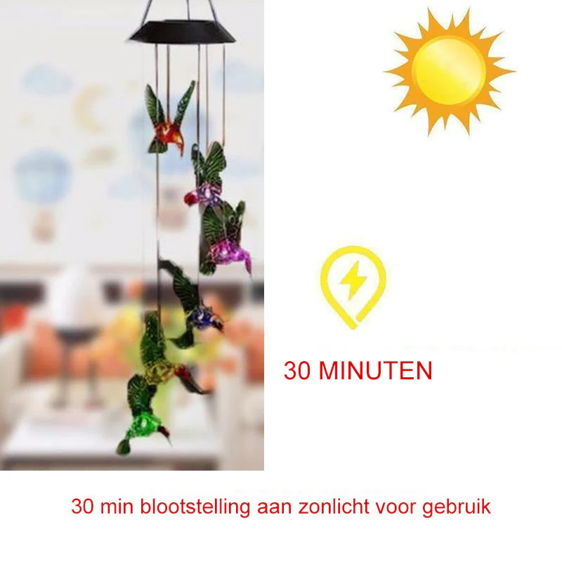 Miniatuur 10