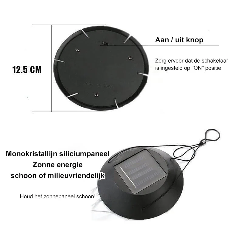 Miniatuur 11