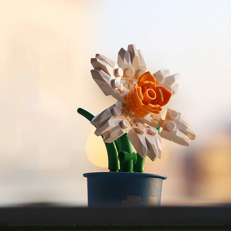 Miniatuur 7