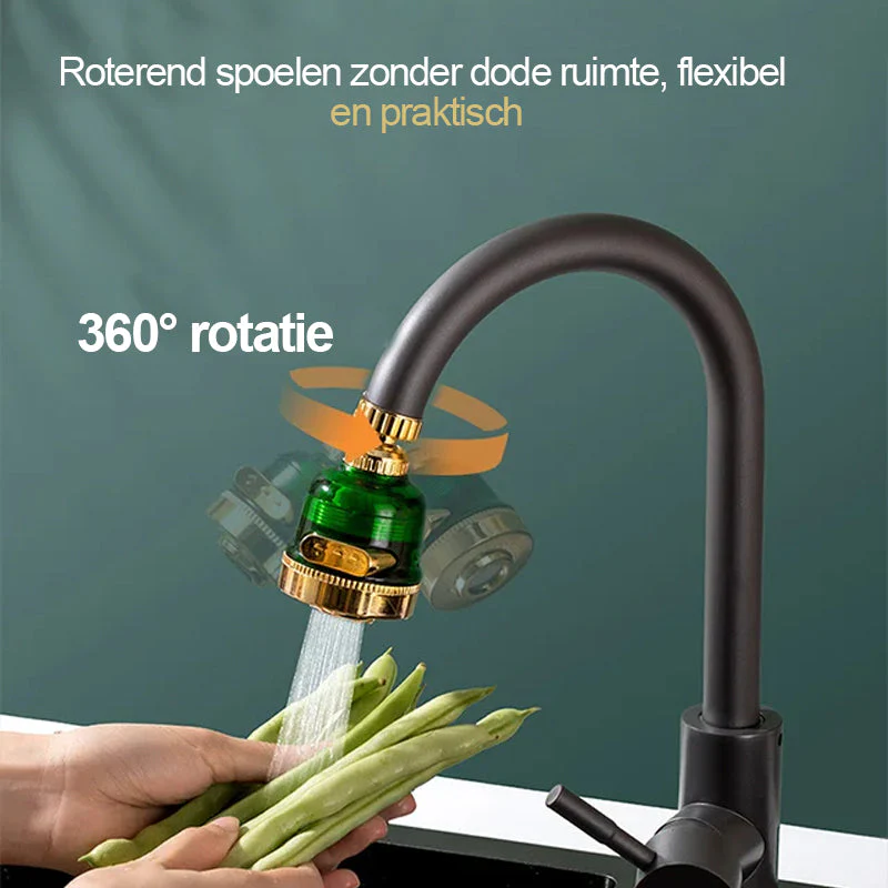 Miniatuur 13