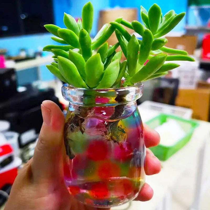 Miniatuur 6