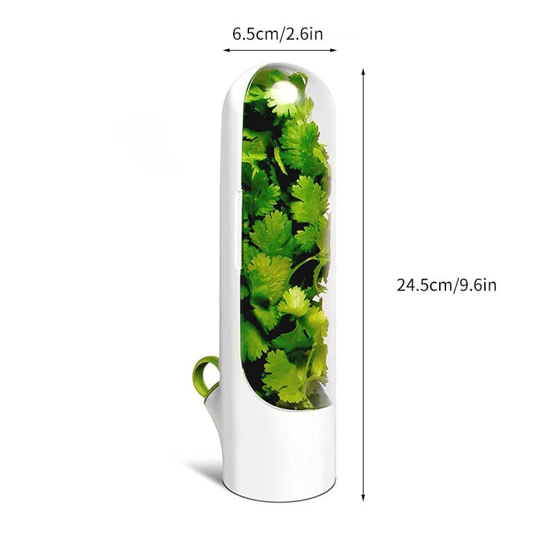 Miniatuur 6