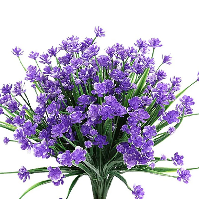 Miniatuur 13