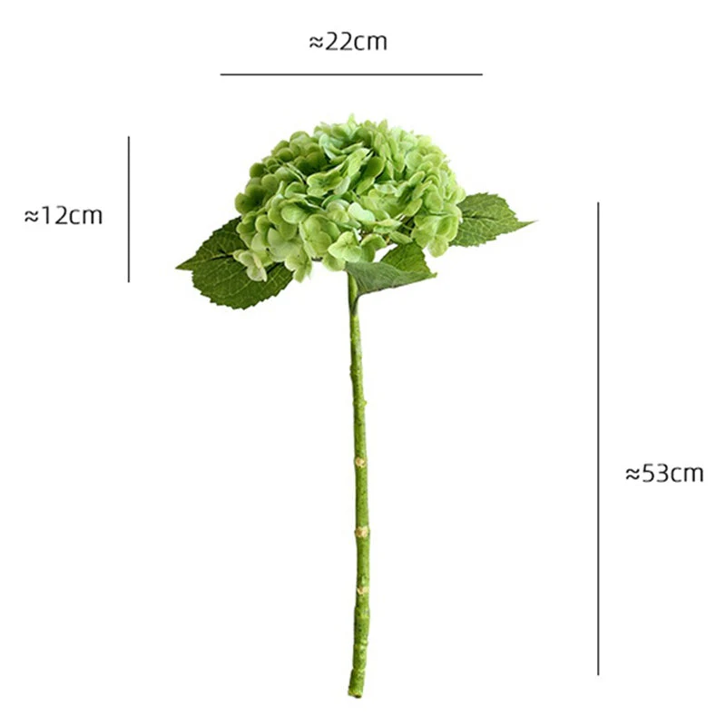 Miniatuur 31