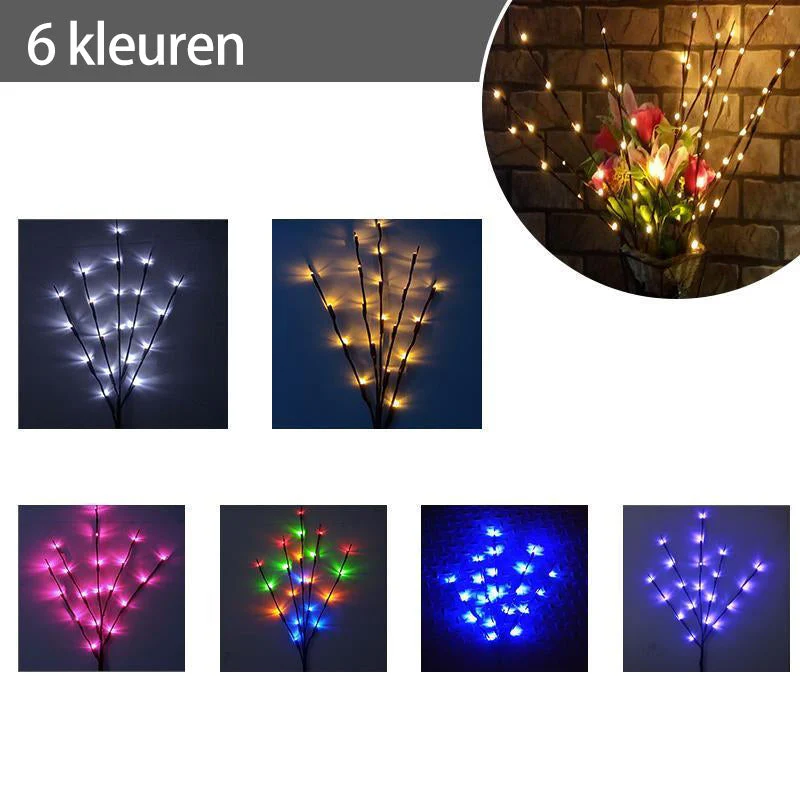 Miniatuur 12