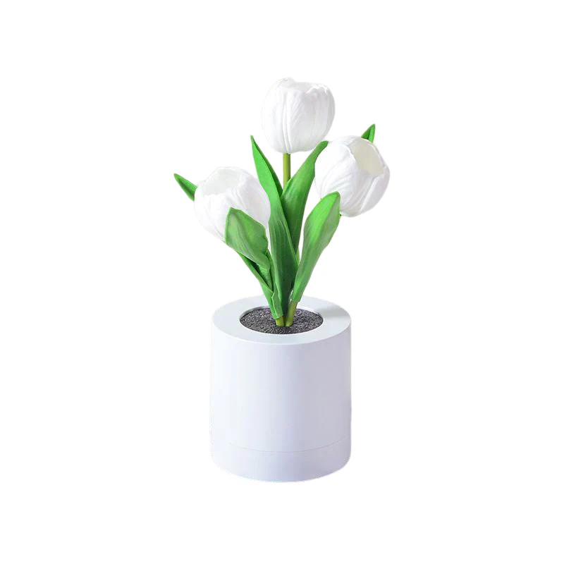 Miniatuur 19