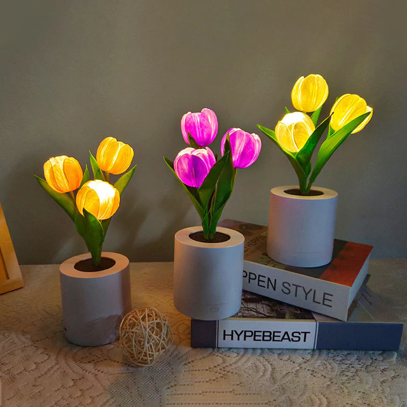 Miniatuur 3