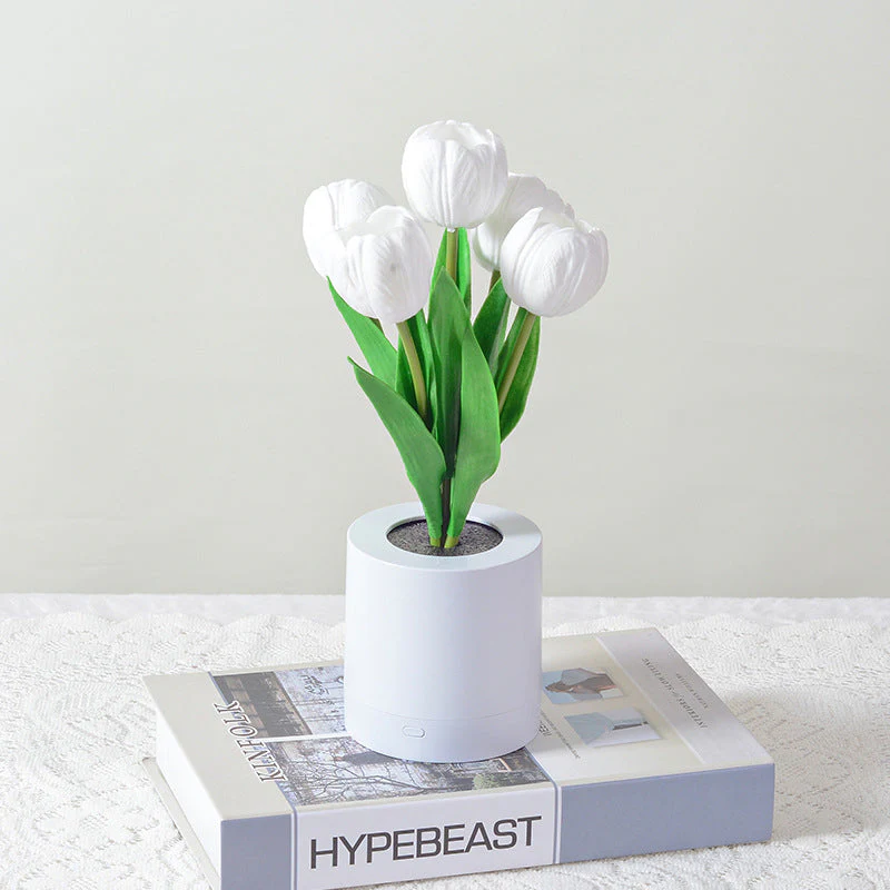 Miniatuur 9