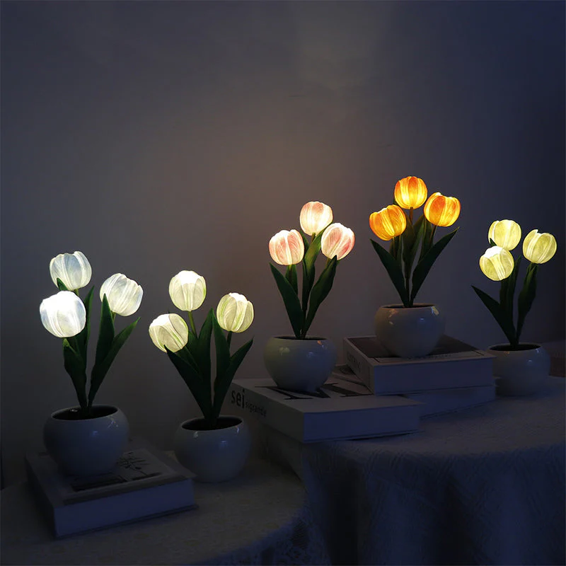 Miniatuur 13