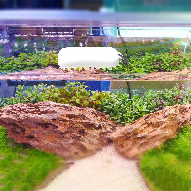 Miniatuur 2